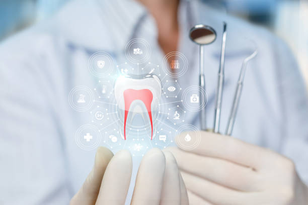 Best Traditional Braces  in Kill Devil Hills, NC